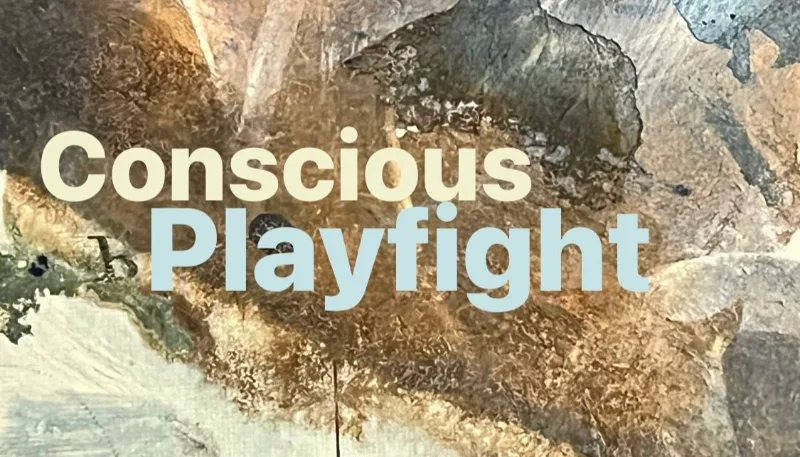 Veranstaltungsbild: Conscious Playfight